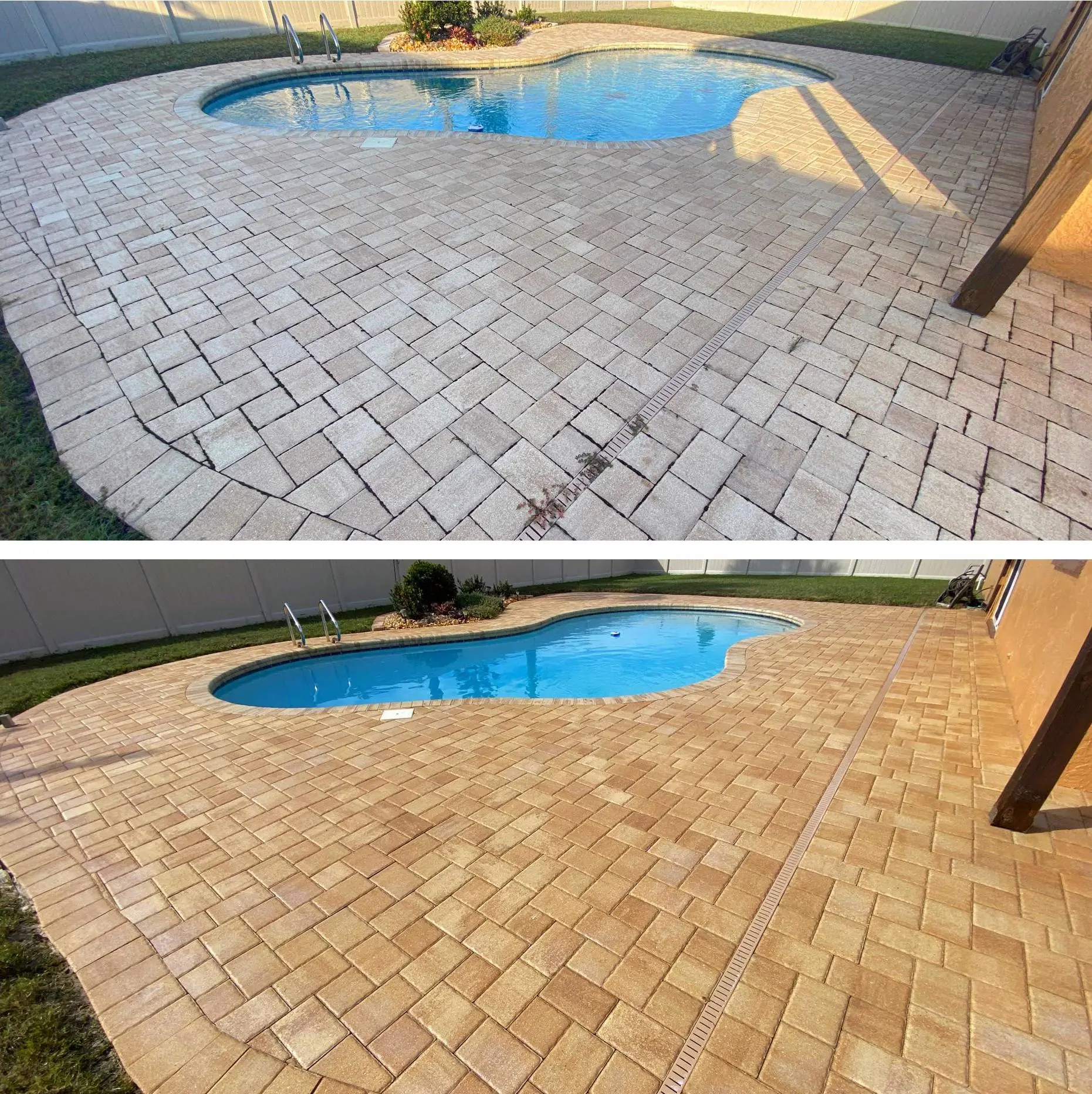 Stamped concrete pool deck surrounding a backyard swimming pool in Phoenix, AZ